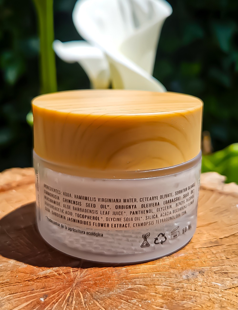 Crema de Día Piel Mixta a Grasa SILK BALANCE