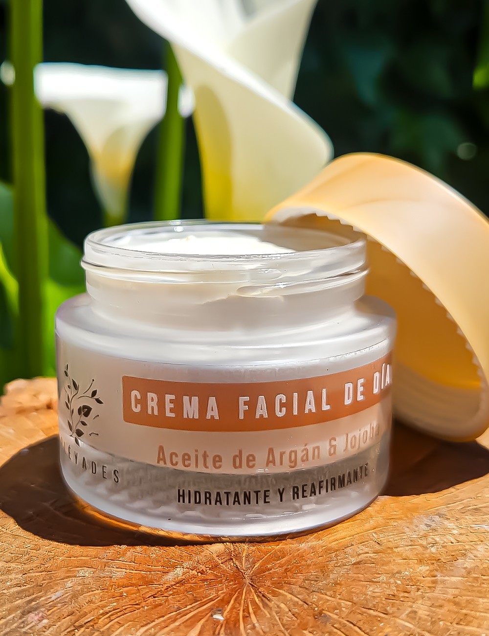 Crema de Día Piel Mixta a Grasa SILK BALANCE