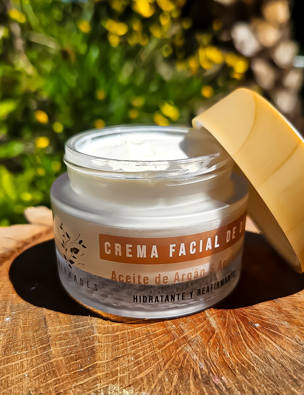 Crema de Día Piel Seca SILK BALANCE