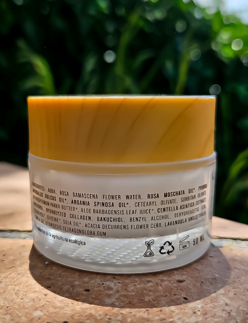 Crema de Noche Piel Seca RENEW ESSENCE