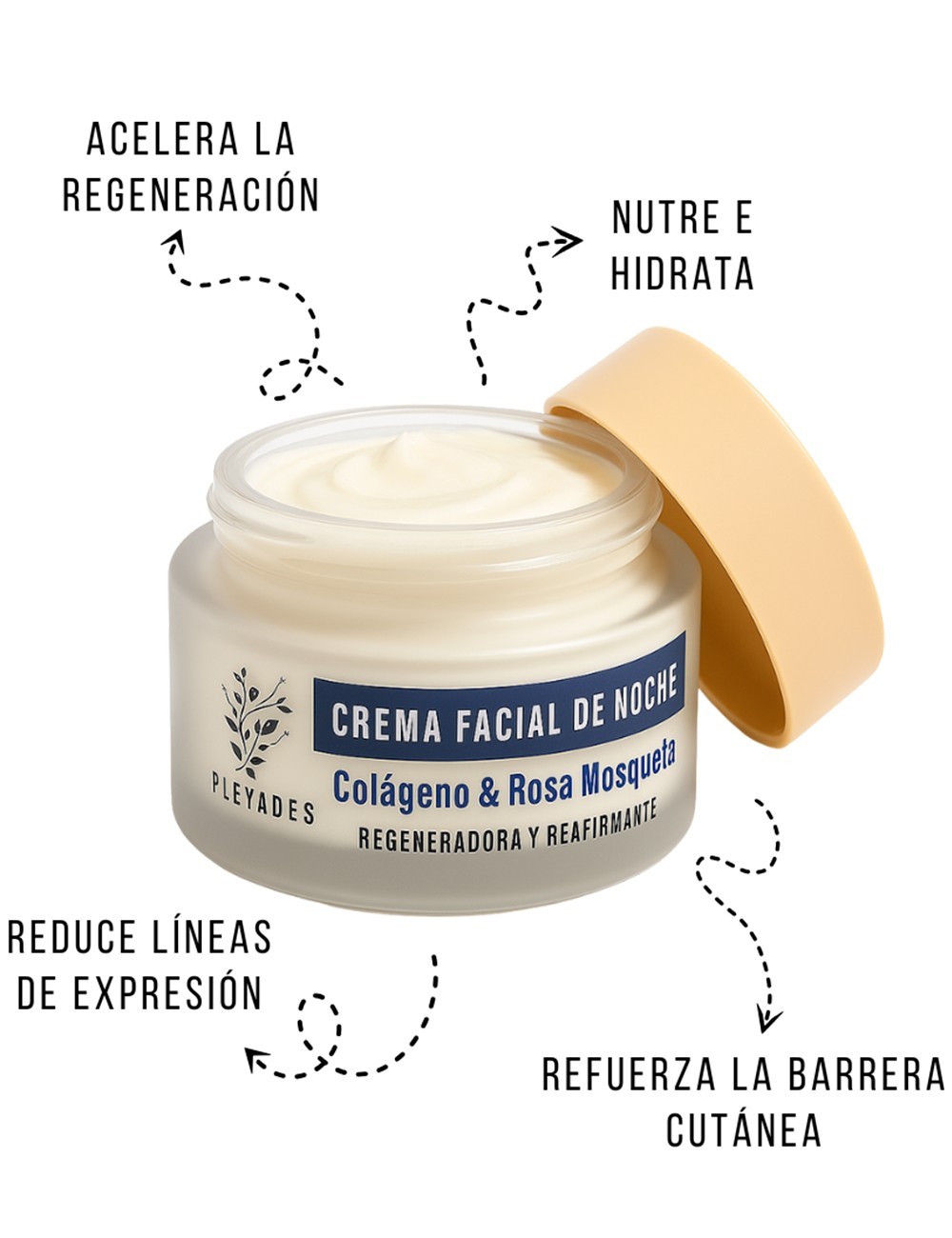 Crema de Noche Piel Seca RENEW ESSENCE