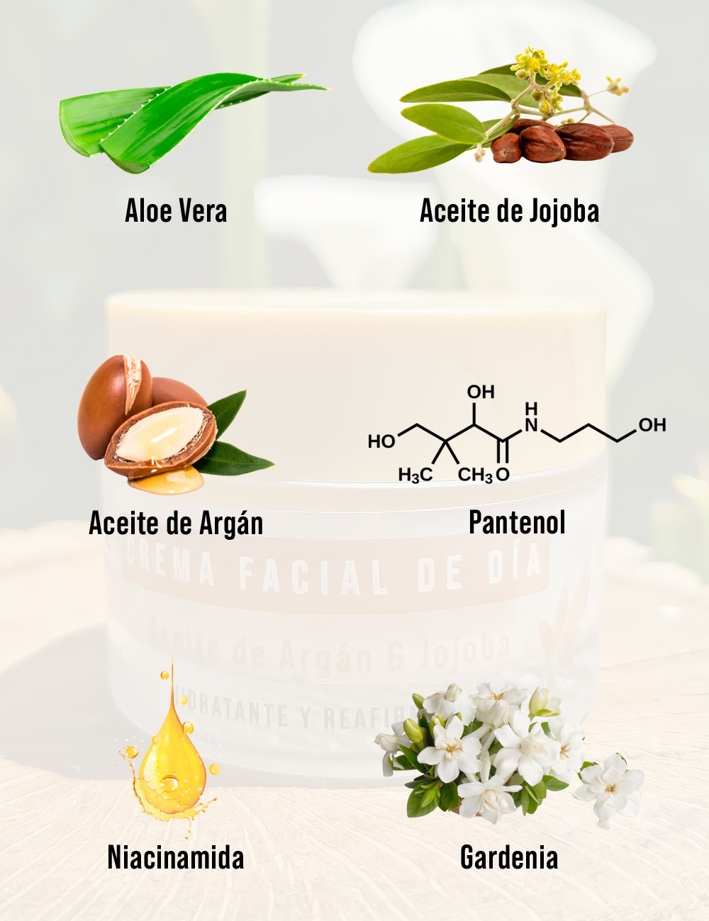 Crema de Día Piel Mixta a Grasa SILK BALANCE