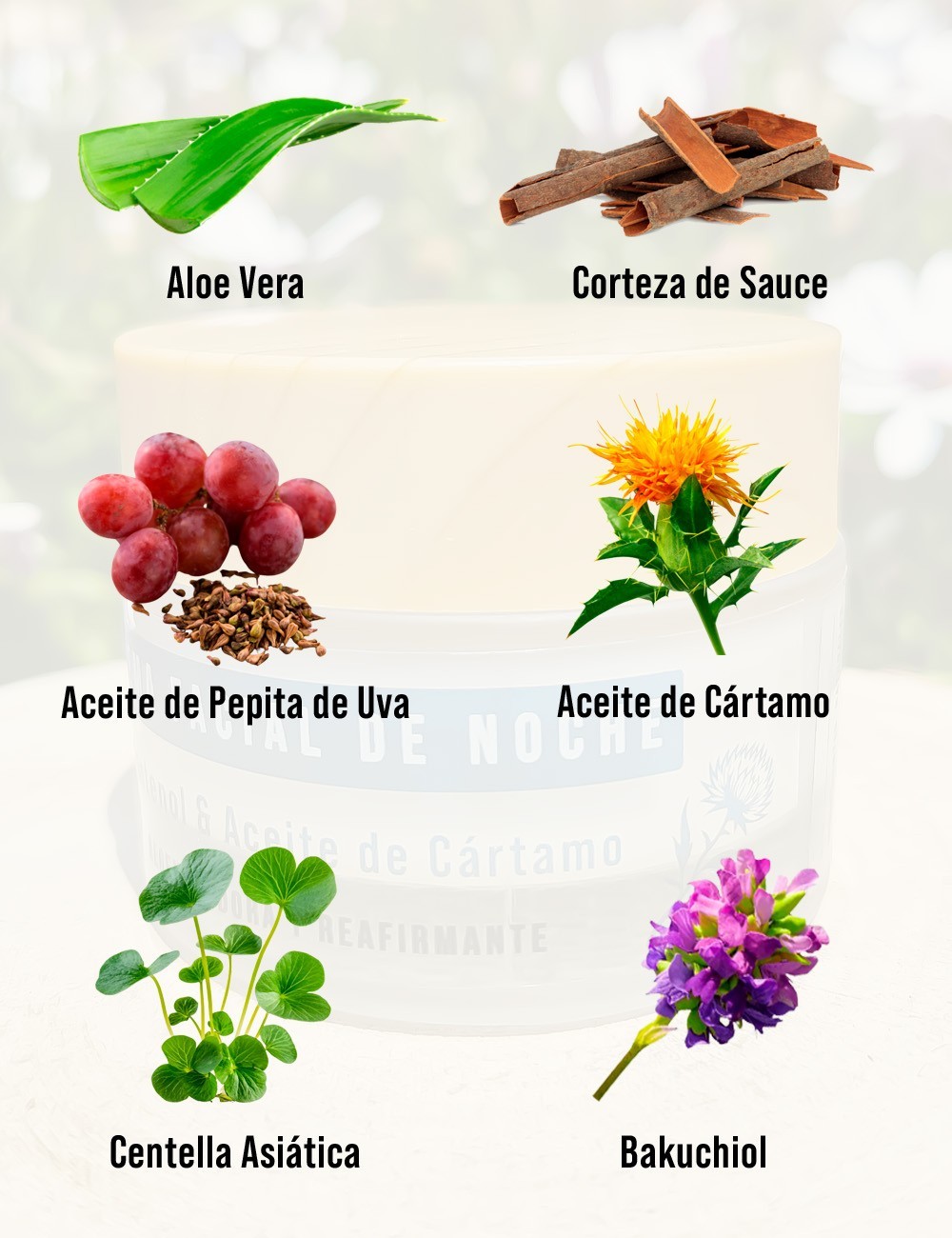 Crema de Noche Piel Mixta a Grasa RENEW ESSENCE