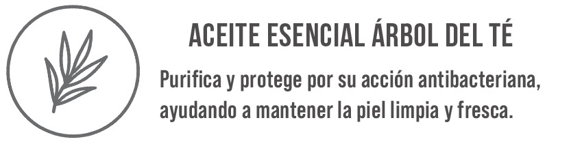 arbol del te.jpg