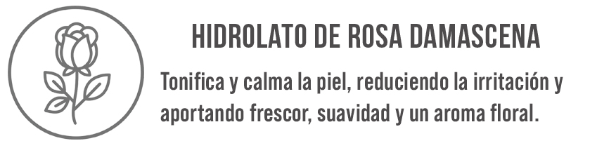 rosa damascena.jpg